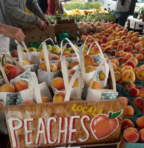 Farm Stand