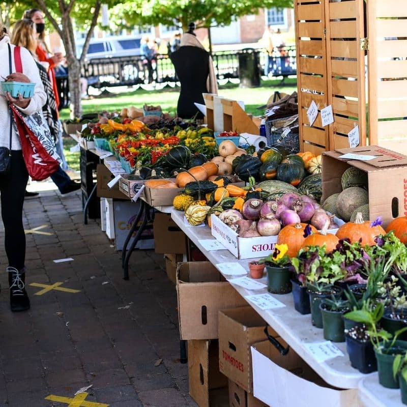 The Blacksburg Farmer's Market